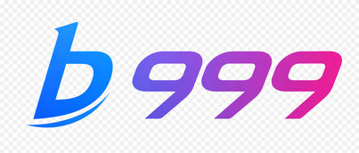 b 999 Logo